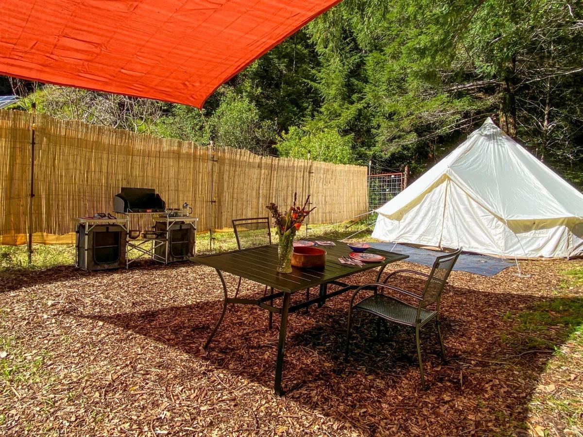 Glamping In The Redwoods With A Hot Tub! Hotel Garberville Kültér fotó