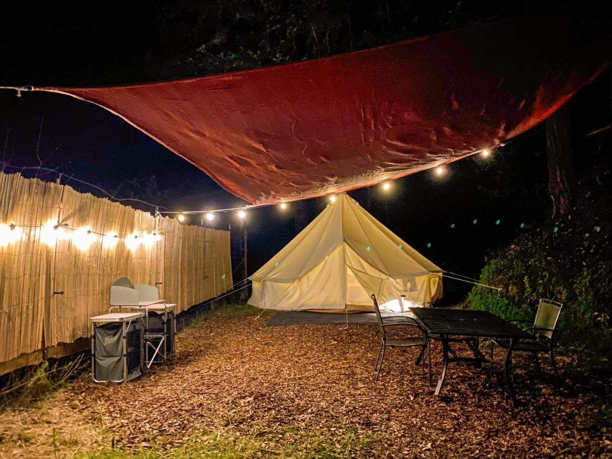 Glamping In The Redwoods With A Hot Tub! Hotel Garberville Kültér fotó