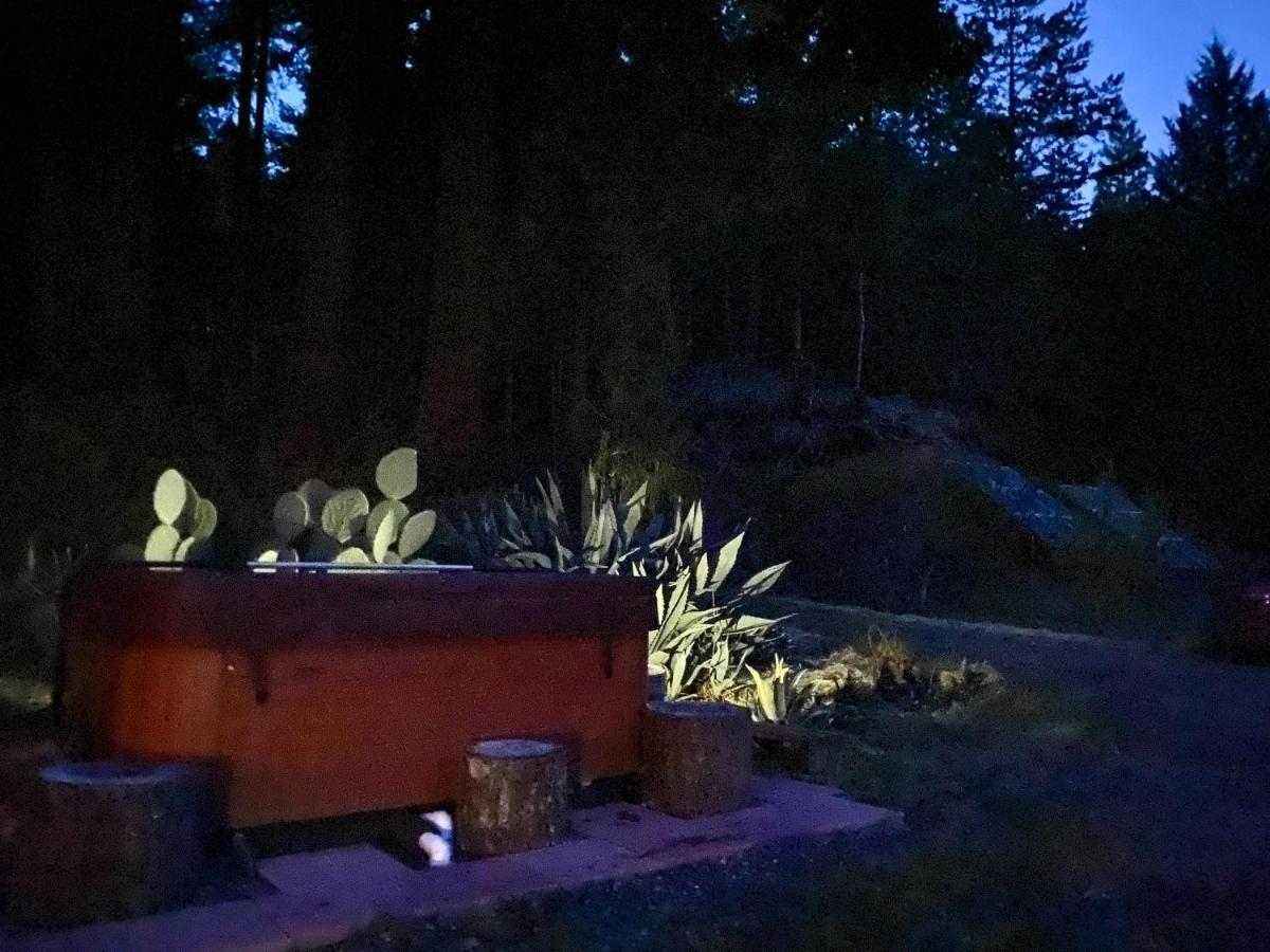 Glamping In The Redwoods With A Hot Tub! Hotel Garberville Kültér fotó