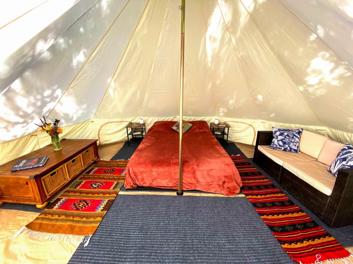 Glamping In The Redwoods With A Hot Tub! Hotel Garberville Kültér fotó